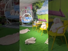 PP Cotton Mascot Stuffed Toy Soft Big Dinasour Toy 31 X 39cm